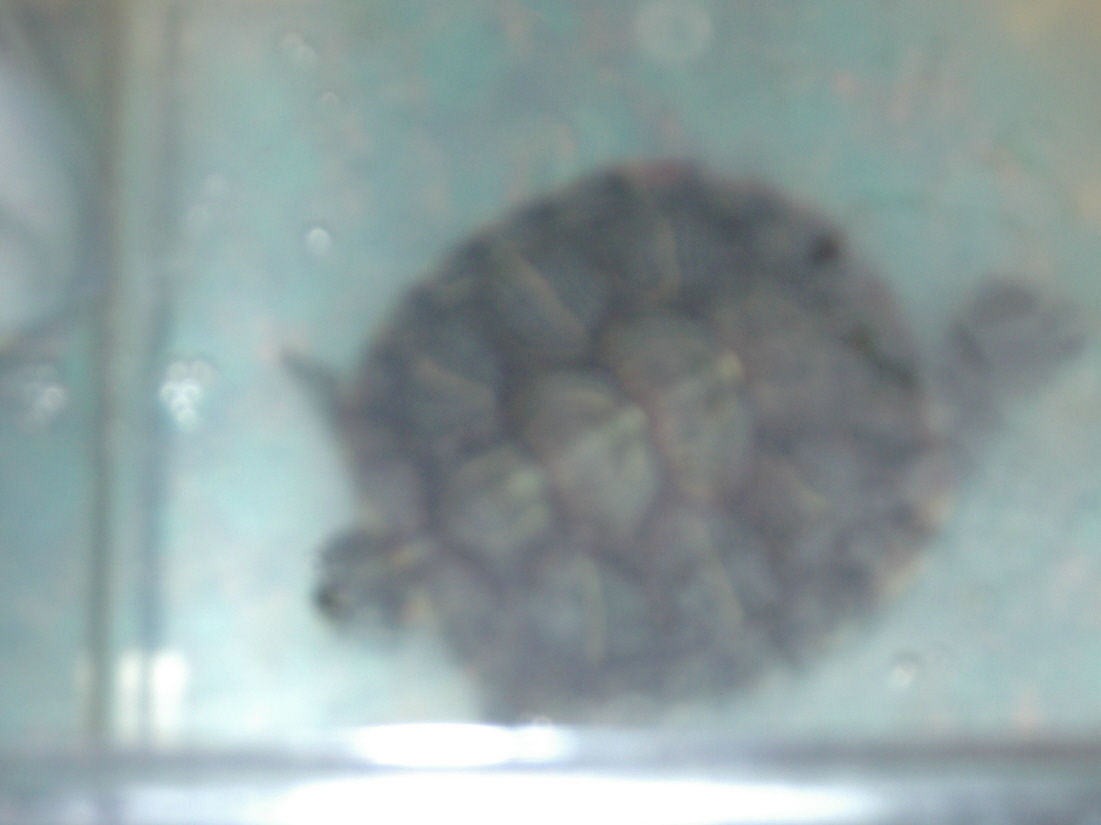 Sid after feeding time