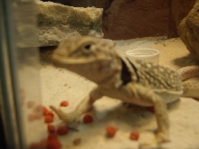 Tobi looking cute
