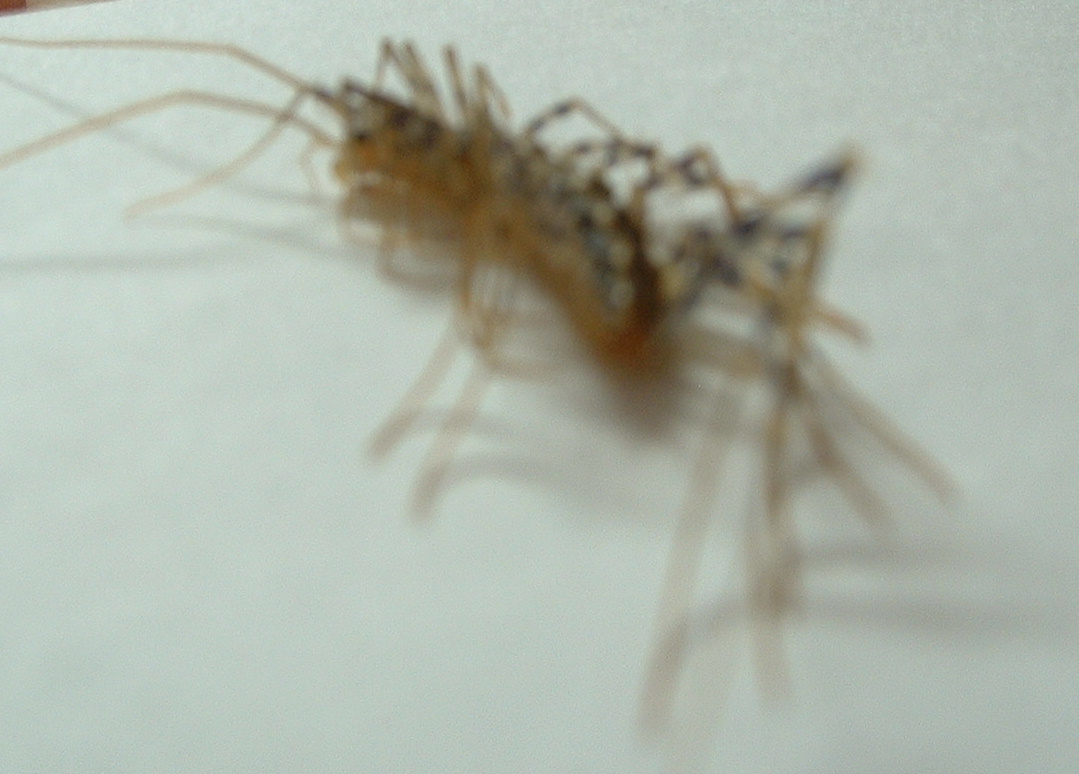 HELP IDENTIFY!!