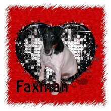 In Honor of Faxman