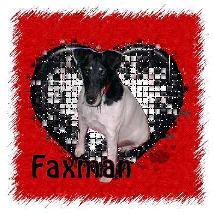 In Honor of Faxman