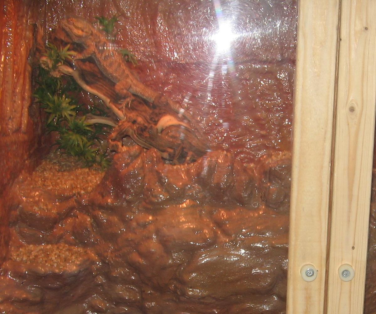 ""NEW CAGE"" Hand Made