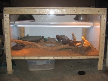 other dragon cages