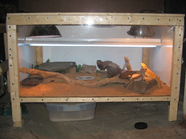other dragon cages