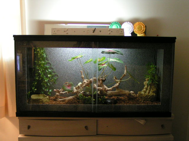 New Cage