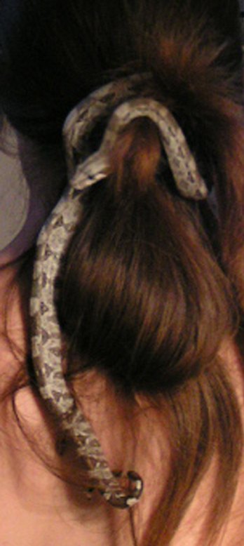 A new hair tye ;)