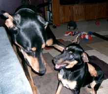 My boys.