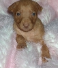 Britney 3 weeks