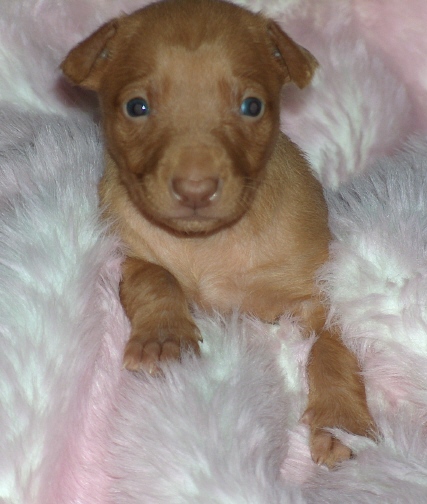 Britney 3 weeks