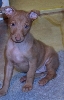 Britney 6 weeks
