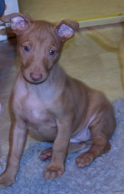 Britney 6 weeks