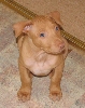 Casa 6 weeks