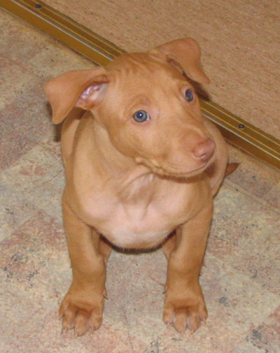 Casa 6 weeks