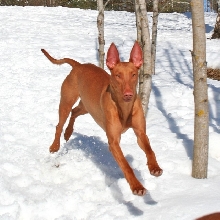 Celina enjoying the warmer weather