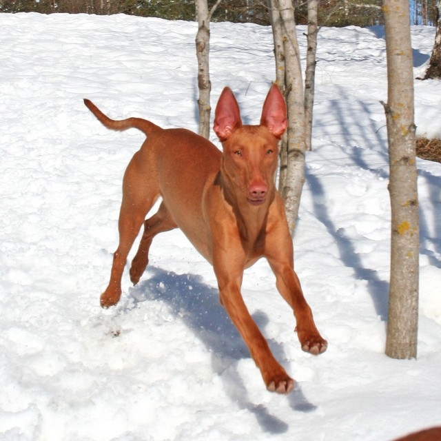 Celina enjoying the warmer weather