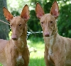 Dessi & Shira