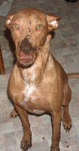 Digging? Me??