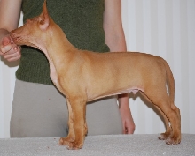 Kendi 7 weeks