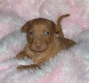 Klumpen 3 weeks