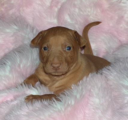 Klumpen 3 weeks