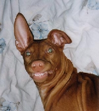 Smile:)