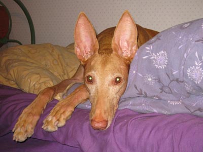 Minea 12 years