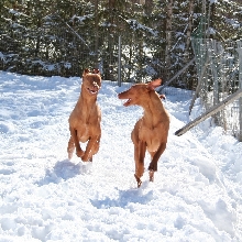 Fun in the snow