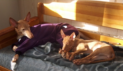 Sabina & Celina