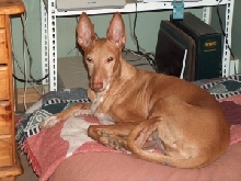 Sabina 12 years