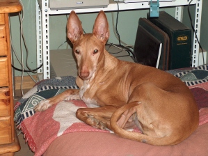 Sabina 12 years