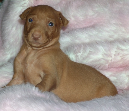 Thor 3 weeks old
