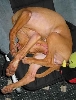 Sleeping
