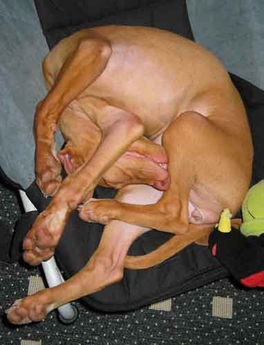 Sleeping