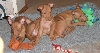 Playing2