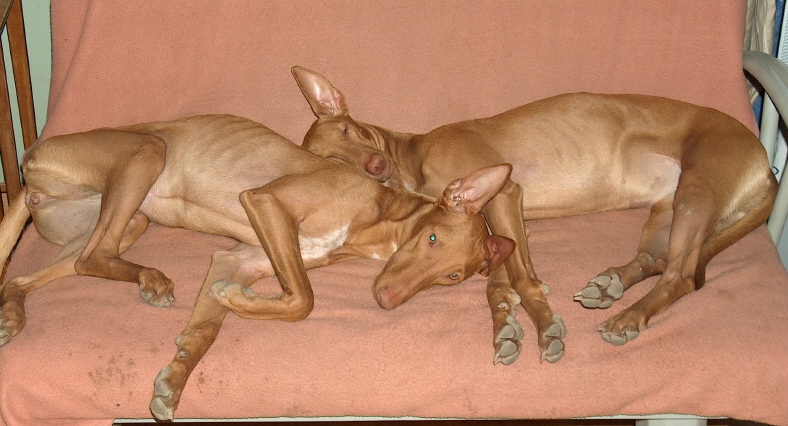 Sisters