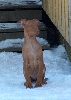 coooold!