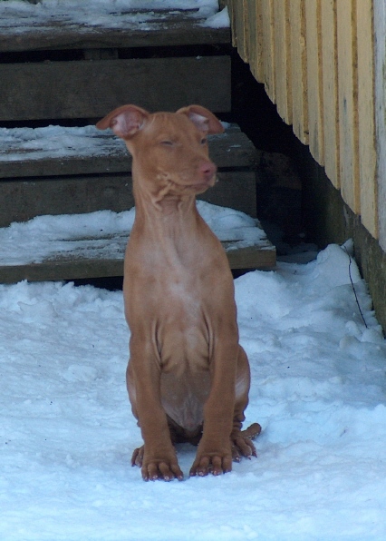 coooold!