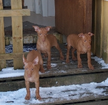 outside2