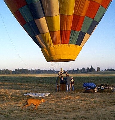 Ballooning Baron