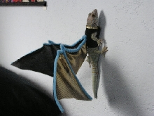 Tokay in Costume