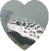 cute