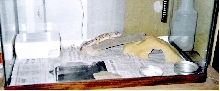 leo cage