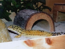 billy