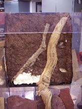 viv construction 3