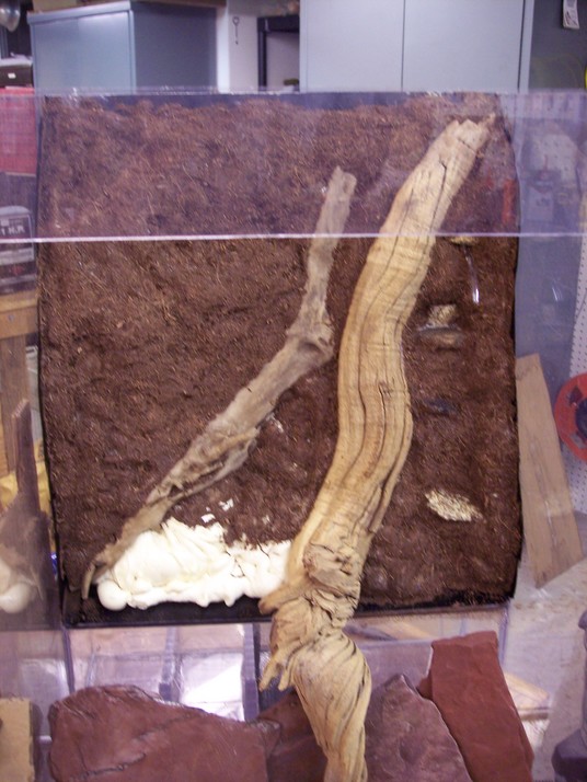 viv construction 3