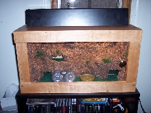 Leo Tank