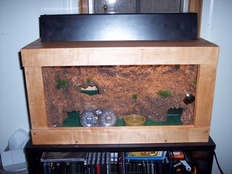 Leo Tank