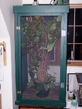 Cham cage