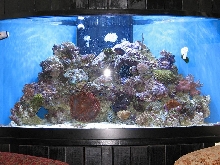 tank2