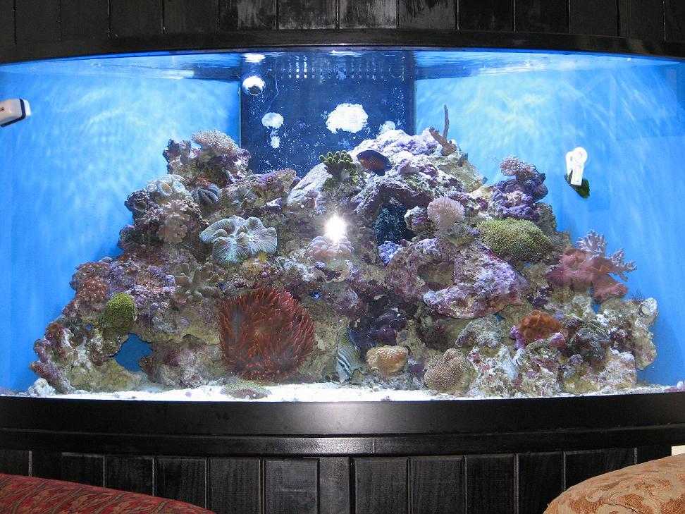 tank2
